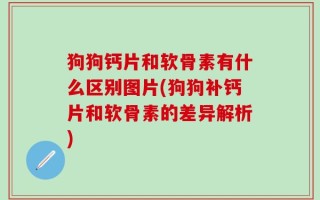狗狗钙片和软骨素有什么区别图片(狗狗补钙片和软骨素的差异解析)