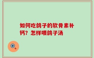 如何吃鸽子的软骨素补钙？怎样喂鸽子汤