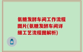 氨糖发酵车间工作流程图片(氨糖发酵车间详细工艺流程图解析)