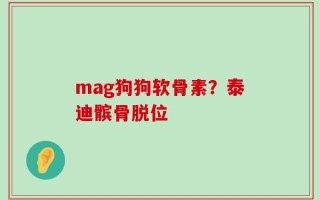 mag狗狗软骨素？泰迪髌骨脱位