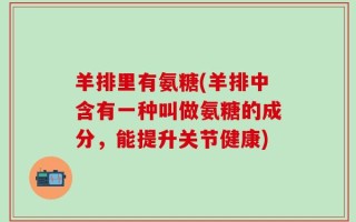 羊排里有氨糖(羊排中含有一种叫做氨糖的成分，能提升关节健康)