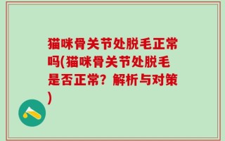 猫咪骨关节处脱毛正常吗(猫咪骨关节处脱毛是否正常？解析与对策)