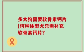 多大狗需要软骨素钙片(何种体型犬只需补充软骨素钙片？