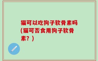 猫可以吃狗子软骨素吗(猫可否食用狗子软骨素？)