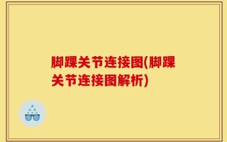 脚踝关节连接图(脚踝关节连接图解析)