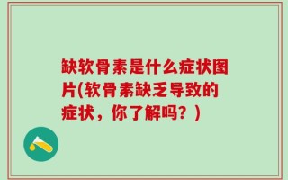 缺软骨素是什么症状图片(软骨素缺乏导致的症状，你了解吗？)