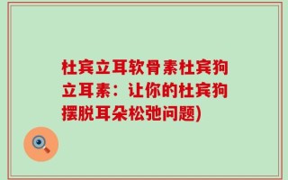 杜宾立耳软骨素杜宾狗立耳素：让你的杜宾狗摆脱耳朵松弛问题)