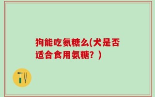 狗能吃氨糖么(犬是否适合食用氨糖？)