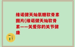 维诺健天灿氨糖软骨素图片(维诺健天灿软骨素——关爱你的关节健康