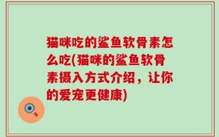 猫咪吃的鲨鱼软骨素怎么吃(猫咪的鲨鱼软骨素摄入方式介绍，让你的爱宠更健康)