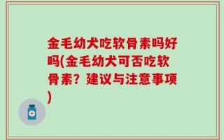 金毛幼犬吃软骨素吗好吗(金毛幼犬可否吃软骨素？建议与注意事项)