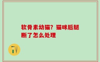 软骨素幼猫？猫咪后腿断了怎么处理