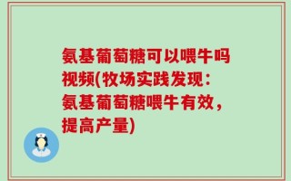 氨基葡萄糖可以喂牛吗视频(牧场实践发现：氨基葡萄糖喂牛有效，提高产量)