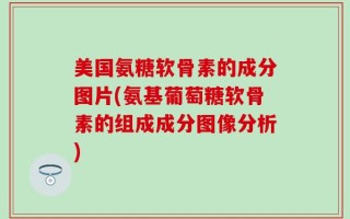 美国氨糖软骨素的成分图片(氨基葡萄糖软骨素的组成成分图像分析)