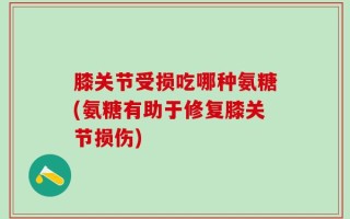 膝关节受损吃哪种氨糖(氨糖有助于修复膝关节损伤)