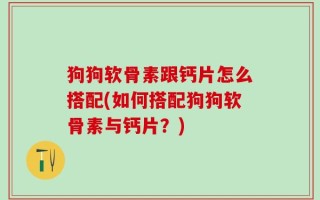 狗狗软骨素跟钙片怎么搭配(如何搭配狗狗软骨素与钙片？)