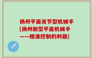 扬州平面关节型机械手(扬州新型平面机械手——精准控制的利器)