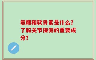 氨糖和软骨素是什么？了解关节保健的重要成分？