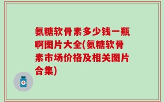 氨糖软骨素多少钱一瓶啊图片大全(氨糖软骨素市场价格及相关图片合集)