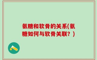 氨糖和软骨的关系(氨糖如何与软骨关联？)
