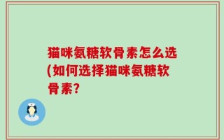 猫咪氨糖软骨素怎么选(如何选择猫咪氨糖软骨素？