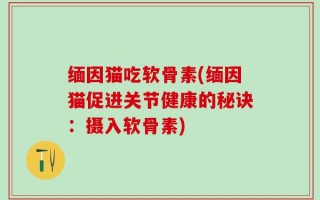 缅因猫吃软骨素(缅因猫促进关节健康的秘诀：摄入软骨素)