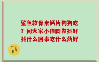 鲨鱼软骨素钙片狗狗吃？问大家小狗脚发抖好抖什么回事吃什么药好