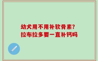 幼犬用不用补软骨素？拉布拉多要一直补钙吗
