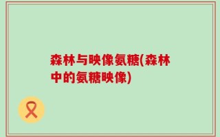 森林与映像氨糖(森林中的氨糖映像)