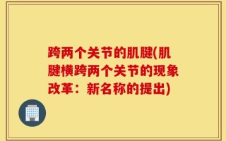 跨两个关节的肌腱(肌腱横跨两个关节的现象改革：新名称的提出)