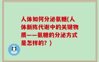 人体如何分泌氨糖(人体新陈代谢中的关键物质——氨糖的分泌方式是怎样的？)