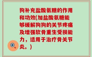 狗补充盐酸氨糖的作用和功效(加盐酸氨糖能够缓解狗狗的关节疼痛及增强软骨重生受损能力，适用于治疗骨关节炎。)