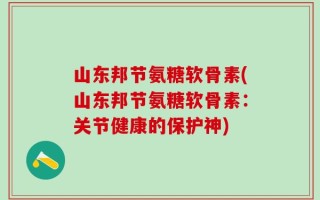 山东邦节氨糖软骨素(山东邦节氨糖软骨素：关节健康的保护神)