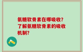 氨糖软骨素在哪吸收？了解氨糖软骨素的吸收机制？