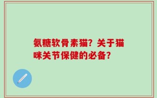 氨糖软骨素猫？关于猫咪关节保健的必备？