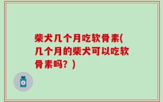 柴犬几个月吃软骨素(几个月的柴犬可以吃软骨素吗？)