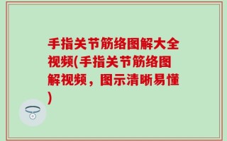 手指关节筋络图解大全视频(手指关节筋络图解视频，图示清晰易懂)