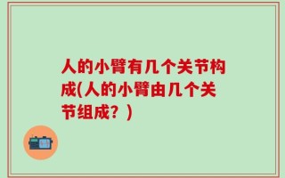 人的小臂有几个关节构成(人的小臂由几个关节组成？)