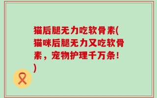 猫后腿无力吃软骨素(猫咪后腿无力又吃软骨素，宠物护理千万条！)
