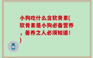 小狗吃什么含软骨素(软骨素是小狗必备营养，善养之人必须知道！)
