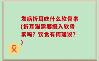 发病折耳吃什么软骨素(折耳猫需要摄入软骨素吗？饮食有何建议？)