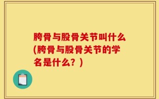 胯骨与股骨关节叫什么(胯骨与股骨关节的学名是什么？)