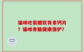 猫咪吃氨糖软骨素钙片？猫咪骨骼健康保护？
