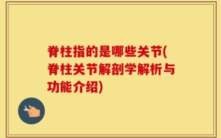 脊柱指的是哪些关节(脊柱关节解剖学解析与功能介绍)