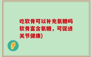 吃软骨可以补充氨糖吗软骨富含氨糖，可促进关节健康)