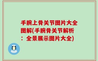 手腕上骨关节图片大全图解(手腕骨关节解析：全景展示图片大全)