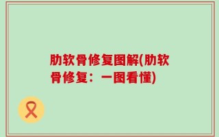 肋软骨修复图解(肋软骨修复：一图看懂)