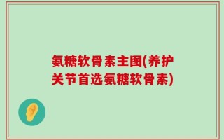 氨糖软骨素主图(养护关节首选氨糖软骨素)