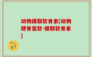 动物提取软骨素(动物硬骨变软-提取软骨素)
