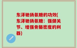 东泽驰扬氨糖的功效(东泽驰扬氨糖：强健关节、增强骨骼密度的利器)